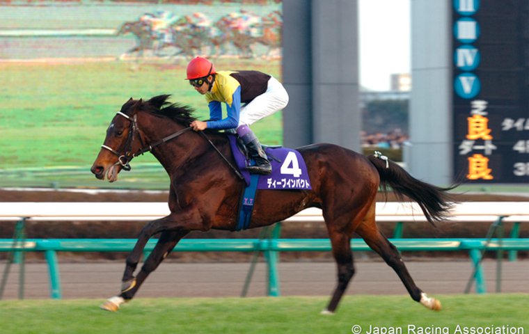 My favorite racehorse: Deep Impact | Topics: My favorite racehorse